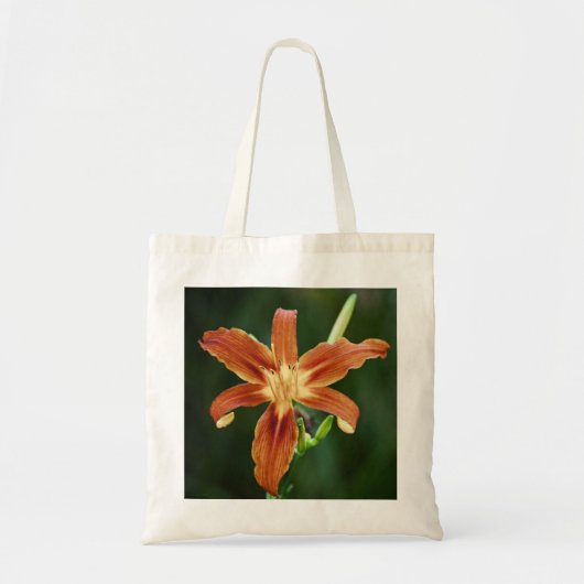 Lily P6588 Bag Tote Bag (Voorkant)