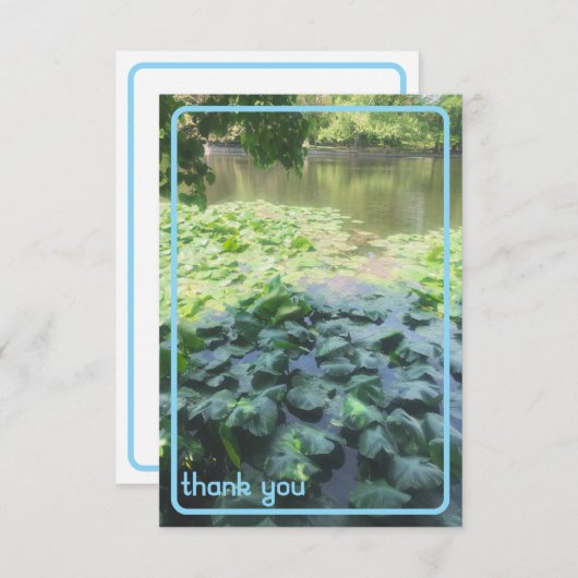 Lily Pad bedankt kaart (Voorkant / Achterkant)