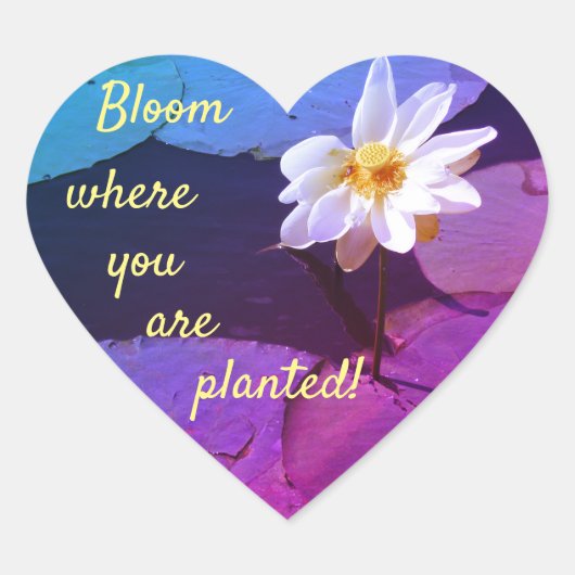 Lily Pad Bloem "Bloei waar je bent geplant! Hart Sticker (Voorkant)