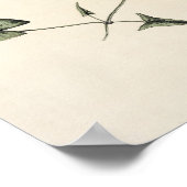  Lily Pad Botanische Sketch Art Print (Hoek)