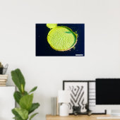 Lily Pad (Chicago) - Poster (Thuiskantoor)