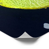 Lily Pad (Chicago) - Poster (Hoek)