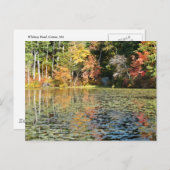Lily Pad Cove op Whitney Pond Briefkaart (Voorkant / Achterkant)