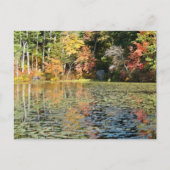 Lily Pad Cove op Whitney Pond Briefkaart (Voorkant)