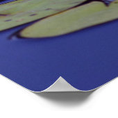 Lily Pad Foto Posters -24x36 -andere maten ook (Hoek)