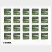 Lily Pad Foto Sticker (Vel)