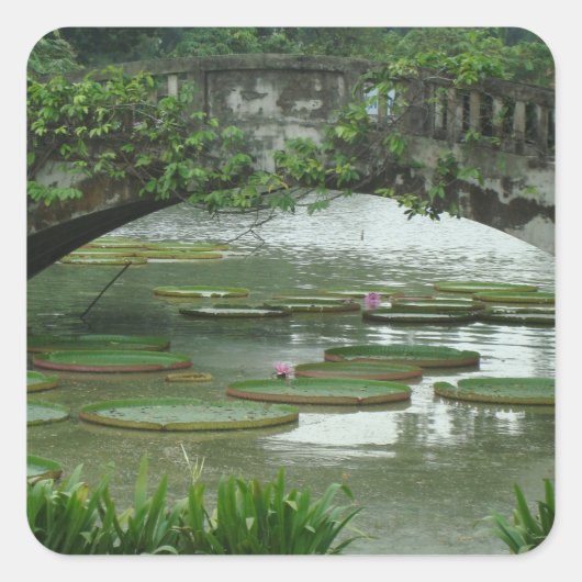 Lily Pad Foto Sticker (Voorkant)