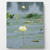 Lily Pad Fotoplaat (Voorkant)
