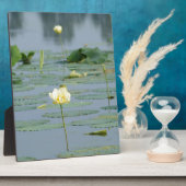 Lily Pad Fotoplaat (Zijkant)