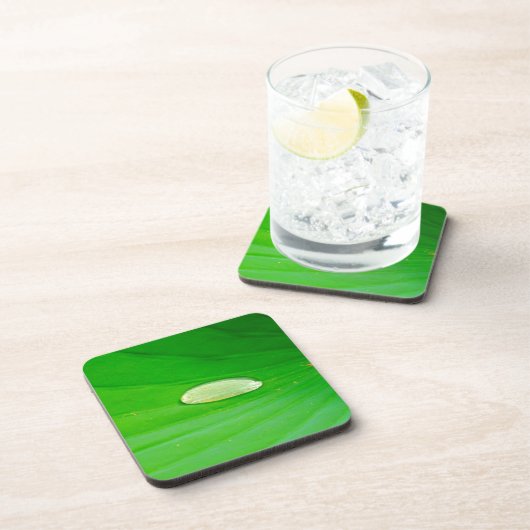 Lily Pad Hard Plastic Coaster Bier Onderzetter (Rechterzijde)