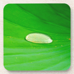 Lily Pad Hard Plastic Coaster Bier Onderzetter