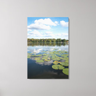 Lily Pad Lake Canvas Afdruk