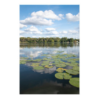 Lily Pad Lake Foto Afdruk