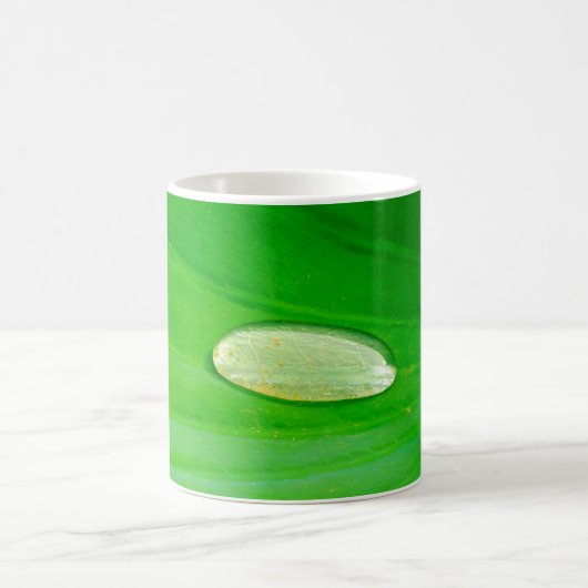Lily Pad Mok (Center)