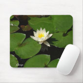 Lily Pad Muismat (Met muis)