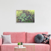 Lily Pad op Canvas Afdruk (Insitu (Woonkamer))