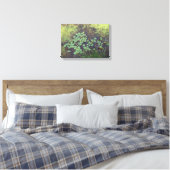 Lily Pad op Canvas Afdruk (Insitu (Slaapkamer))