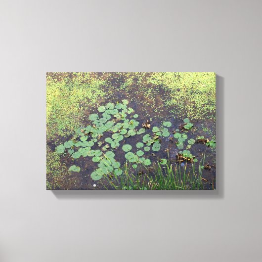 Lily Pad op Canvas Afdruk (Voorkant)