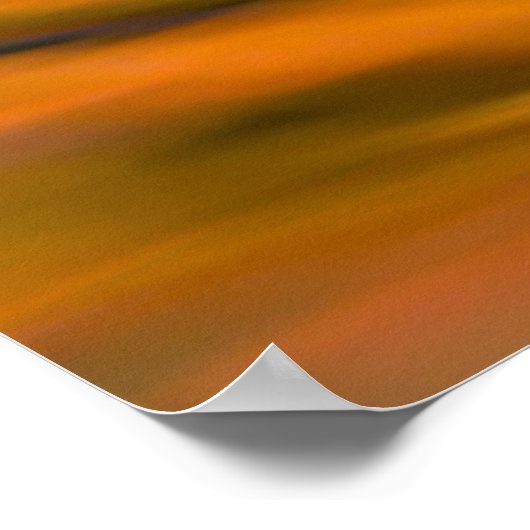 Lily-pad op oranje water, Canada Poster (Hoek)