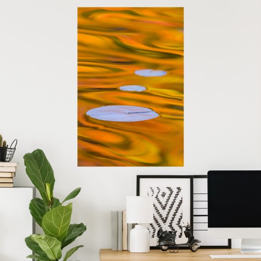 Lily-pad op oranje water, Canada Poster (Thuiskantoor)