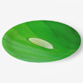 Lily Pad Paper Bord (Gekanteld)