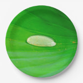Lily Pad Paper Bord (Voorkant)