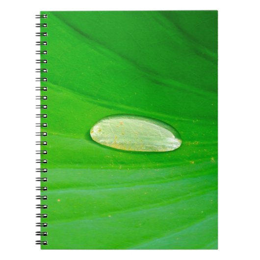 Lily Pad Photo Notitieboek (Voorkant)