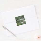 Lily Pad Photo Sticker (Envelop)