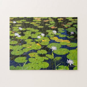 Lily Pad Pond Foto of Uw Foto Legpuzzel