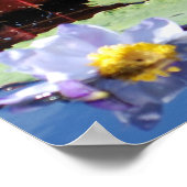 Lily Pad Poster (Hoek)