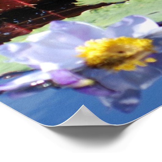Lily Pad Poster (Hoek)