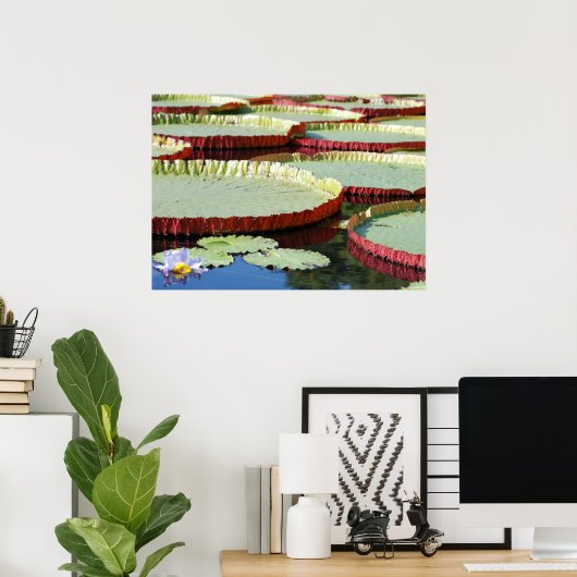 Lily Pad Poster (Thuiskantoor)