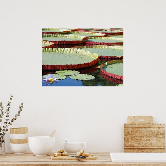 Lily Pad Poster (Keuken)