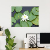 Lily Pad Poster (Thuiskantoor)