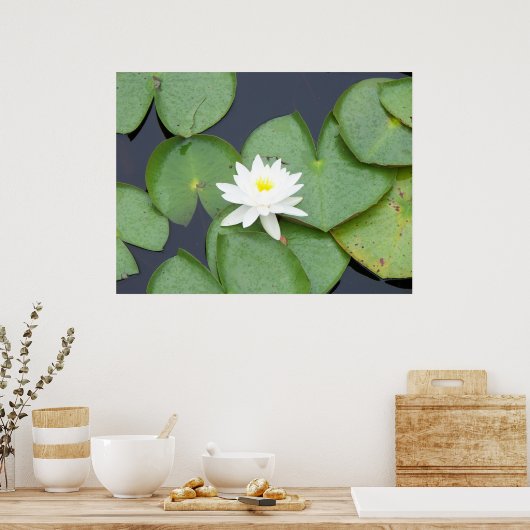 Lily Pad Poster (Keuken)