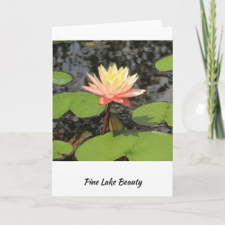 Lily Pad schoonheid! Kaart