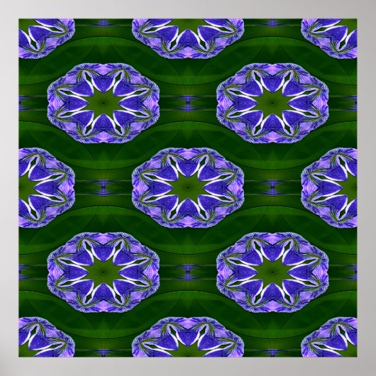 Lily pad sterren.... poster (Voorkant)