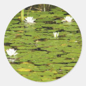 Lily pad stickers (Voorkant)