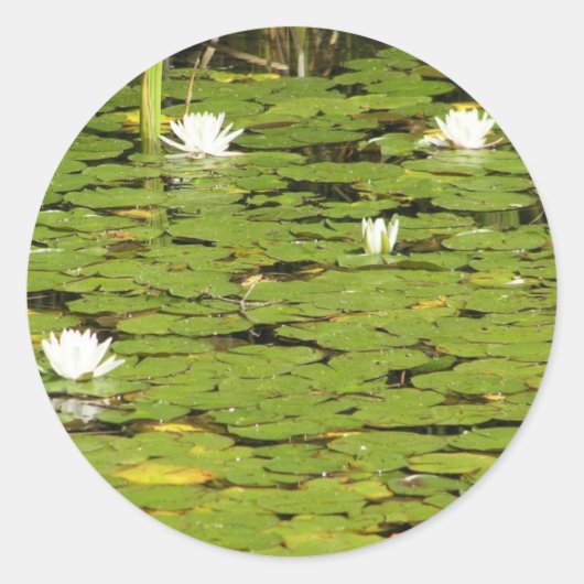 Lily pad stickers (Voorkant)