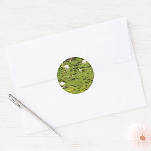 Lily pad stickers (Envelop)