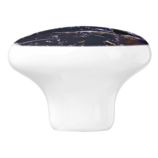 Lily pad Water Fairy Reflection Keramische Knop (Zijkant)