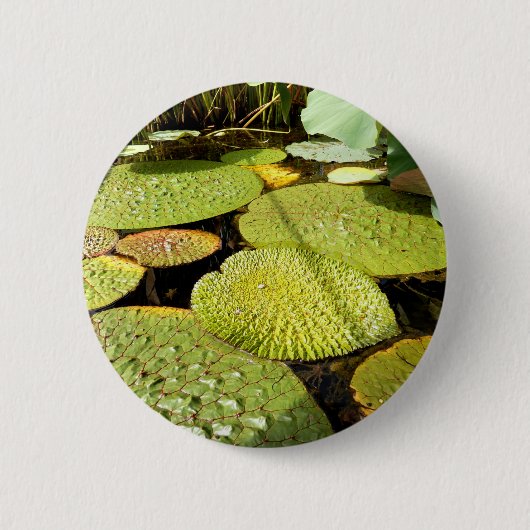 Lily Pads Badge Ronde Button 5,7 Cm (Voorkant)