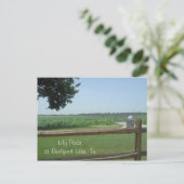 Lily Pads bij Reelfoot Lake, Tn Briefkaart (Staand voorkant)