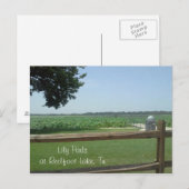 Lily Pads bij Reelfoot Lake, Tn Briefkaart (Voorkant / Achterkant)