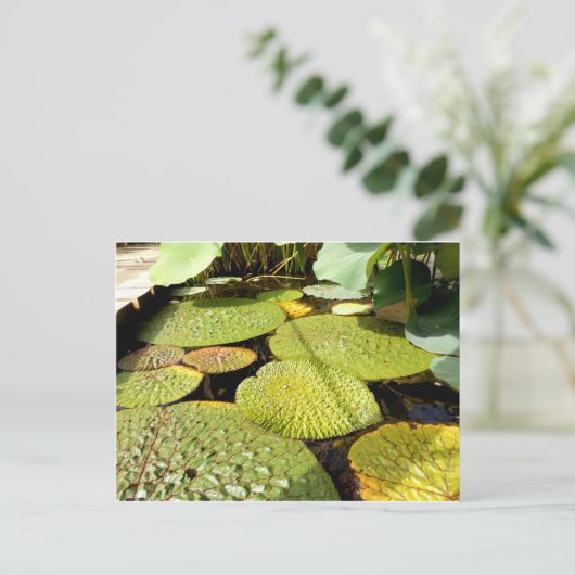 Lily Pads Briefkaart (Staand voorkant)