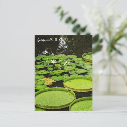 Lily Pads Briefkaart (Staand voorkant)