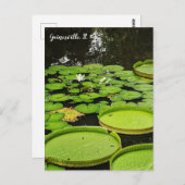 Lily Pads Briefkaart (Voorkant / Achterkant)