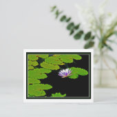 Lily Pads Briefkaart (Staand voorkant)