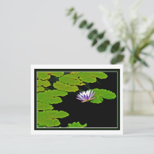 Lily Pads Briefkaart (Staand voorkant)