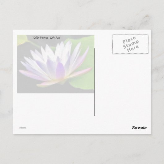 Lily Pads Briefkaart (Achterkant)